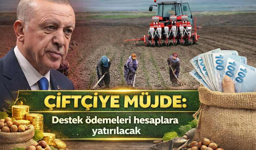 Destek Ödemeleri O Tarihte Başlıyor: Tam 81 Milyar Lira...