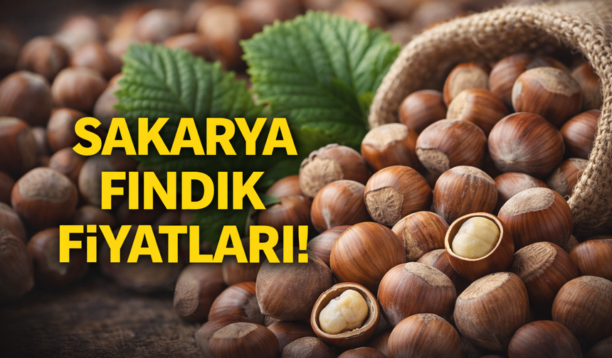 8 Şubat 2026 Sakarya Fındık Fiyatları | Fındık Bugün Kaç TL?