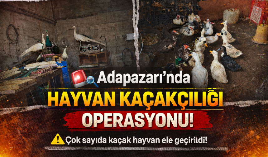 Adapazarı’nda Hayvan Kaçakçılığı Operasyonu