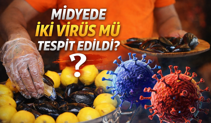 İzmir Körfezi’nde “Midyede Virüs” İddiasına Resmi Açıklama