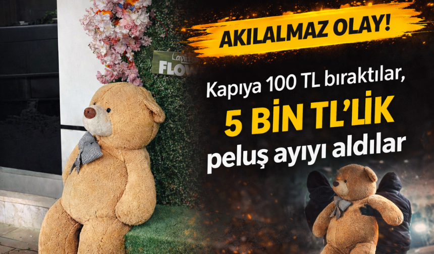 Kapıya 100 TL Bırakıp 5 Bin TL’lik Pelüş Ayıyı Çaldılar