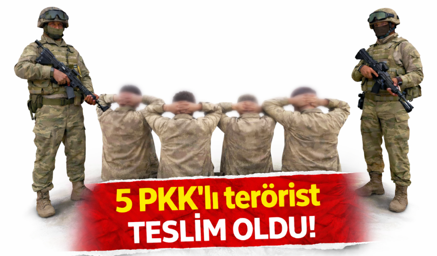 5 PKK'lı terörist teslim oldu!