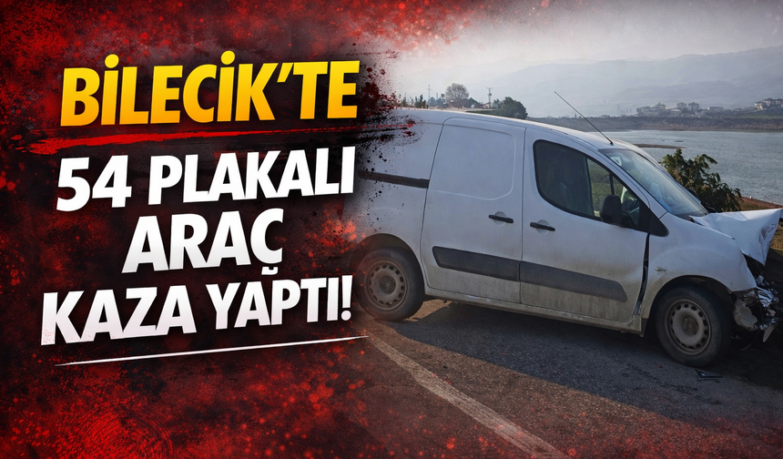 Bilecik'te 54 plakalı araç kaza yaptı!
