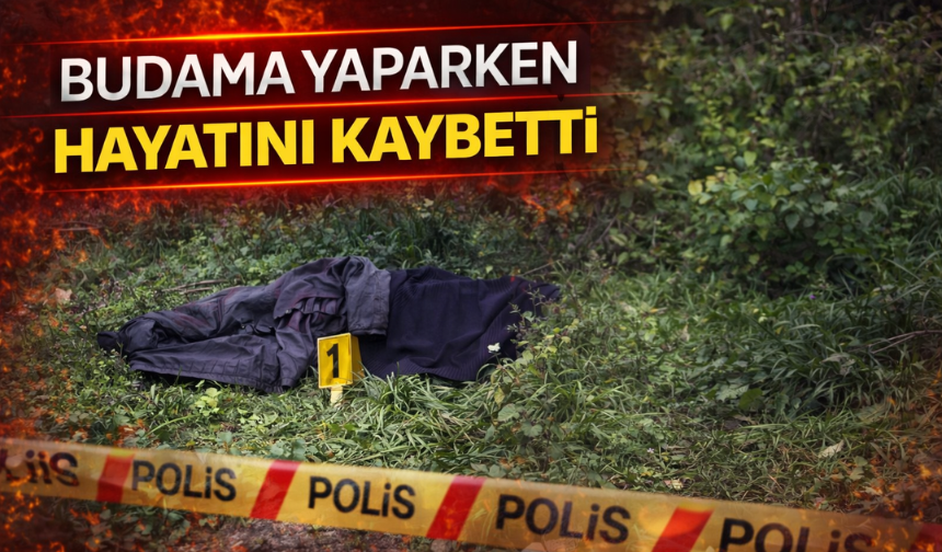 Budama yaparken hayatını kaybetti