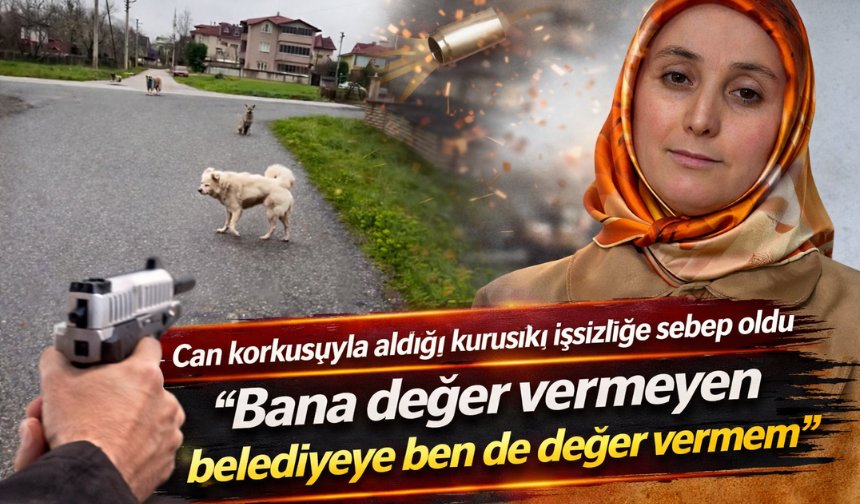 Hendek’te sokak köpeği korkusu: Kurusıkı tabanca yüzünden işsiz kaldı