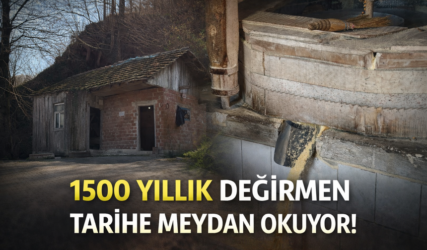 Sakarya’da 1500 Yıllık Su Değirmeni Geleneği Yaşatılıyor