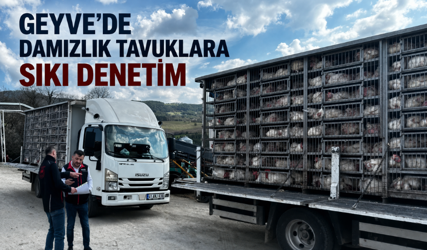 Geyve’de Damızlık Tavuklara Sıkı Denetim