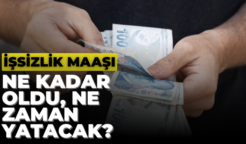2026 Yılı İşsizlik Maaşı Ne Kadar, Ne Zaman Yatacak?