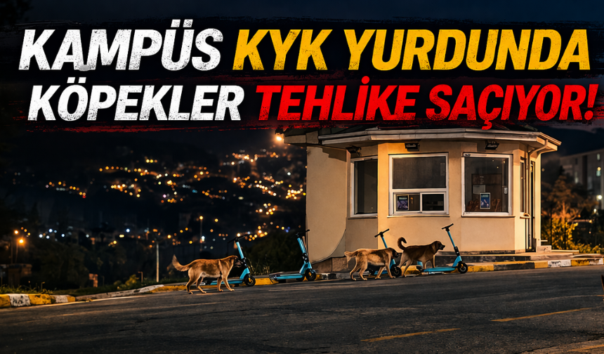 Kampüs KYK Yurdunda Köpekler Tehlike Saçıyor