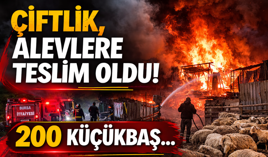 Çiftlik, alevlere teslim oldu!