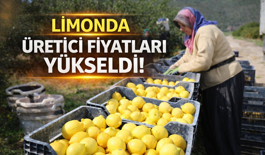 Limon fiyatları uçuşta: Üretici fiyatı 1 yılda yüzde 410 arttı