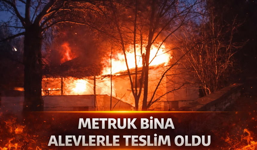 Metruk bina alevlere teslim oldu