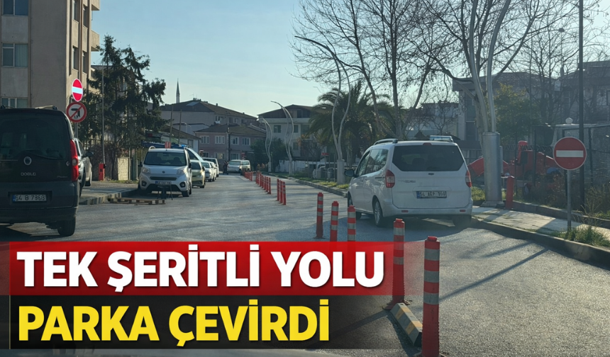 Yasak olmasına rağmen park etti!