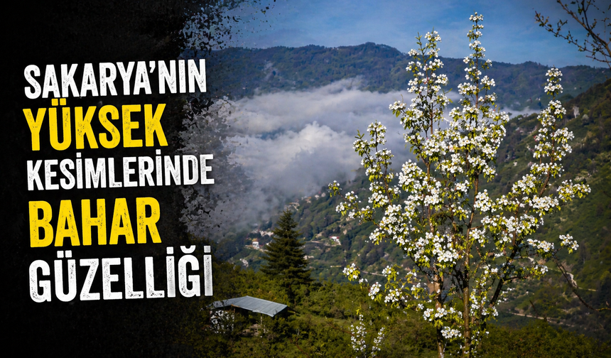 Yüksek kesimlerde bahar güzelliği