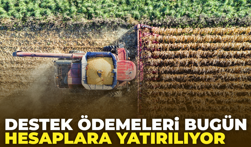 Çiftçi Destek Ödemeleri Bugün Hesaplara Yatıyor