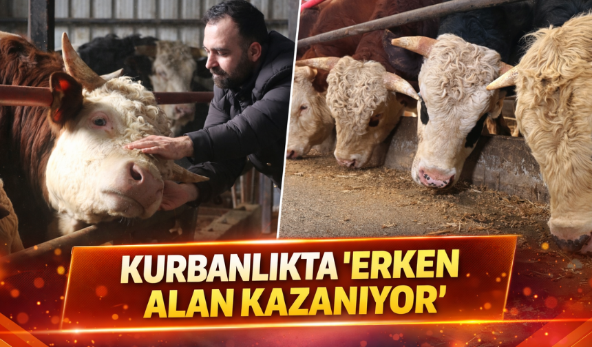 Kurbanlıkta "Erken alan kazanıyor"