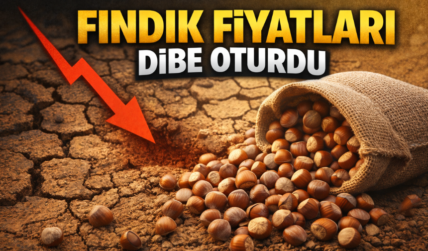 Fındık fiyatları dibe oturdu