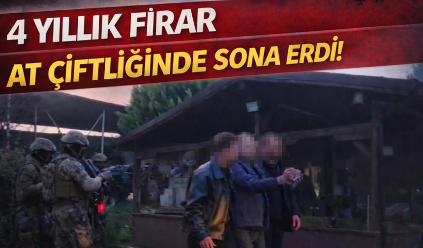 4 yıllık firar at çiftliğinde sona erdi