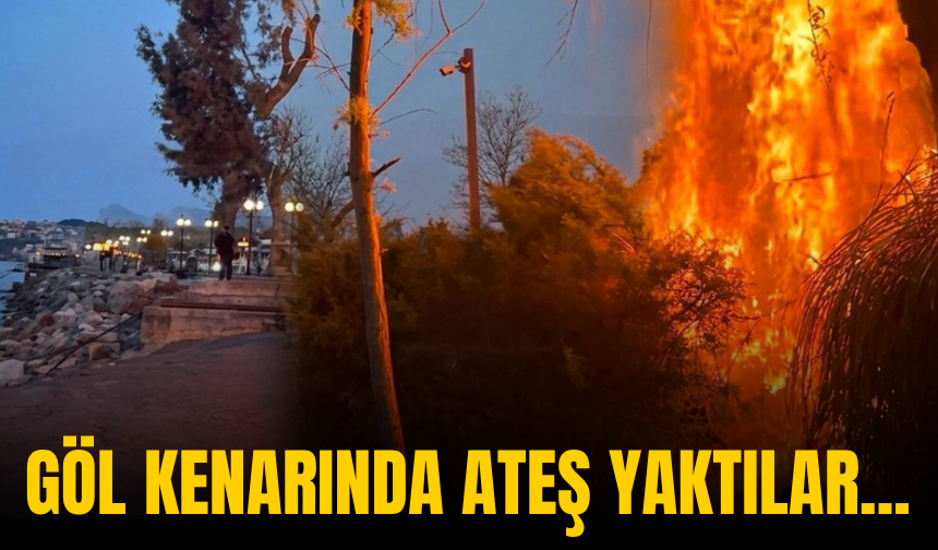 Duyarsızlık Az Kalsın Felakete Yol Açıyordu! Göl Kenarında Ateş Yaktılar...