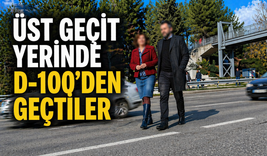 Üst Geçit Varken Bariyerden Atladılar