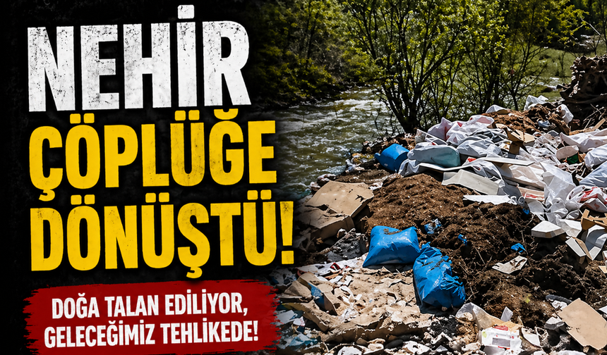 Sakarya Nehri Kıyısında Çevre Felaketi