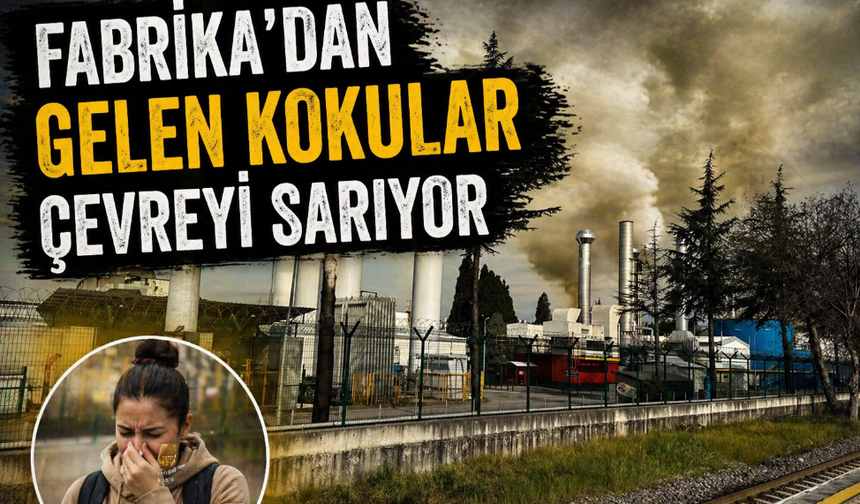 Arifiye’de Lastik Kokusu Tepkisi! Vatandaşlar Çözüm Bekliyor