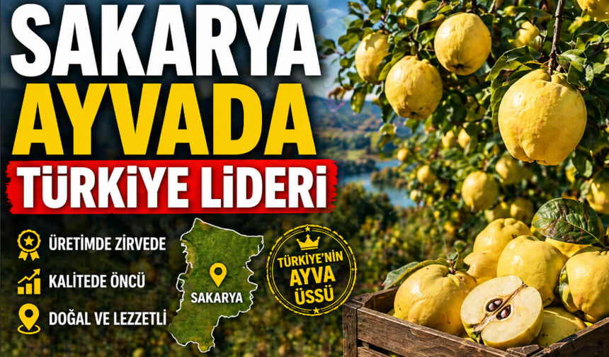Sakarya Ayvada Türkiye Lideri Oldu