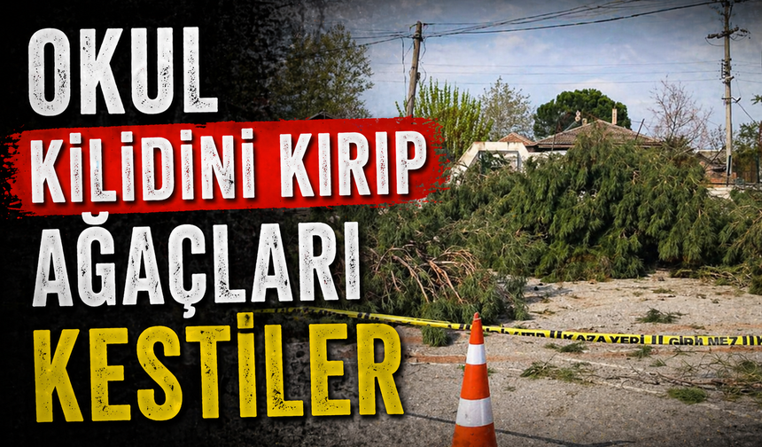 Kapıyı kırıp ağacı kökünden kestiler