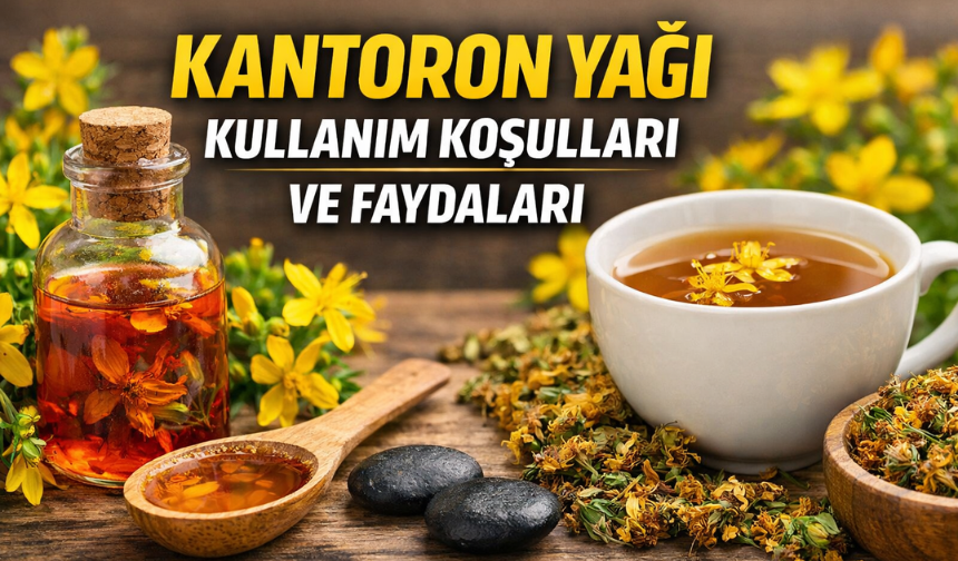 Kantaron Yağının Faydaları Neler, Hangi Hastalıklara İyi Gelir, Nasıl Kullanılır?