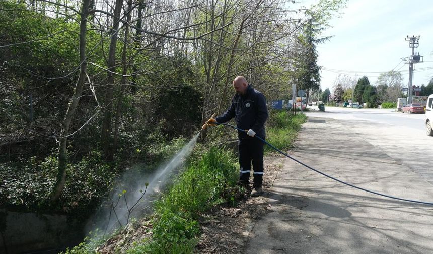 Sapanca’da Larva ile Mücadele Çalışmaları Başladı