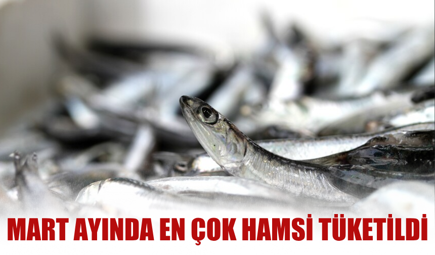 Mart ayında en çok hamsi tüketildi