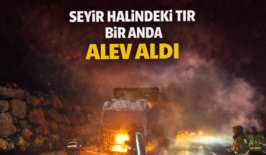Seyir halindeki tır bir anda alev aldı