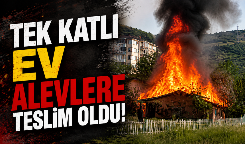 Tek katlı ev alevlere teslim oldu