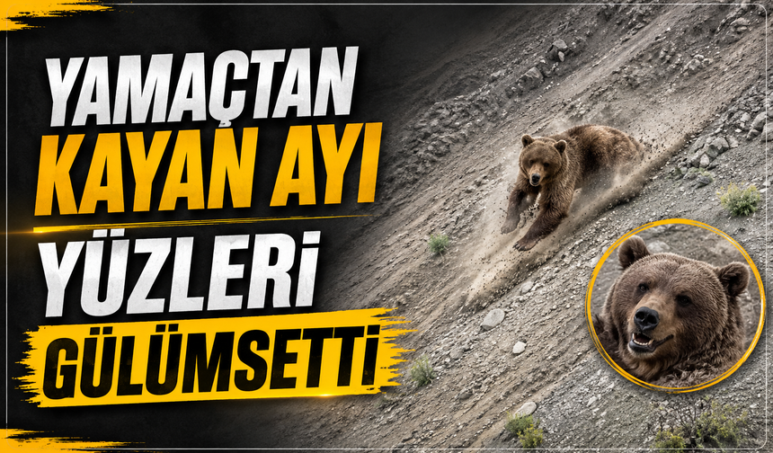 Yamaçtan kayan ayı yüzleri gülümsetti