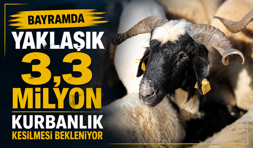 Bayramda 3,3 Milyon Kurbanlık Kesimi Bekleniyor