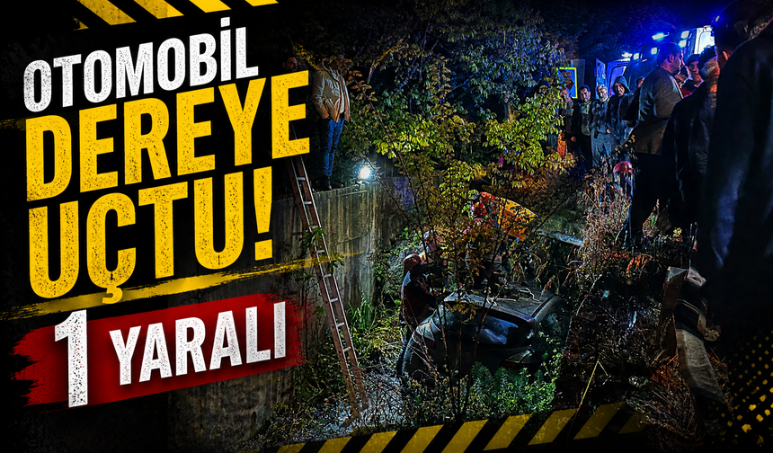 Serdivan’da Otomobil Dereye Uçtu: 1 Kişi Yaralandı