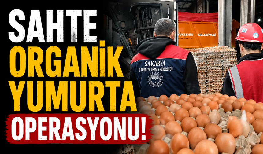 Sahte Organik Yumurta Operasyonu