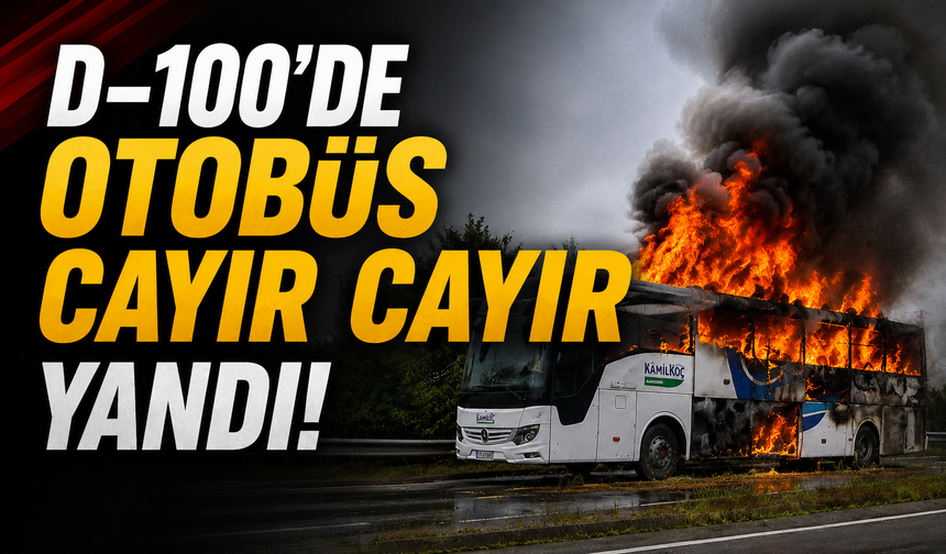Seyir halindeyken alev aldı!