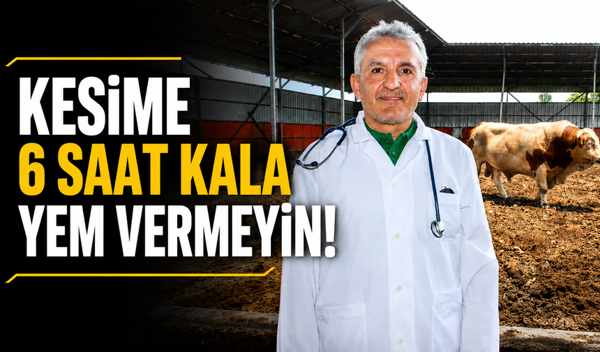 Veterinerlerden Kurban Kesimi Uyarısı
