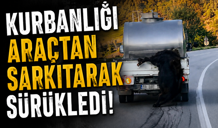 Canlı Kurbanlığı Araç Arkasında Sürüklediler