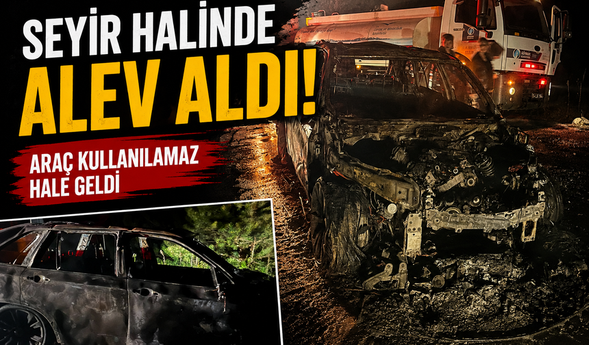Sakarya'dan Ankara'ya Gidiyordu! Otomobil Alevlere Teslim Oldu