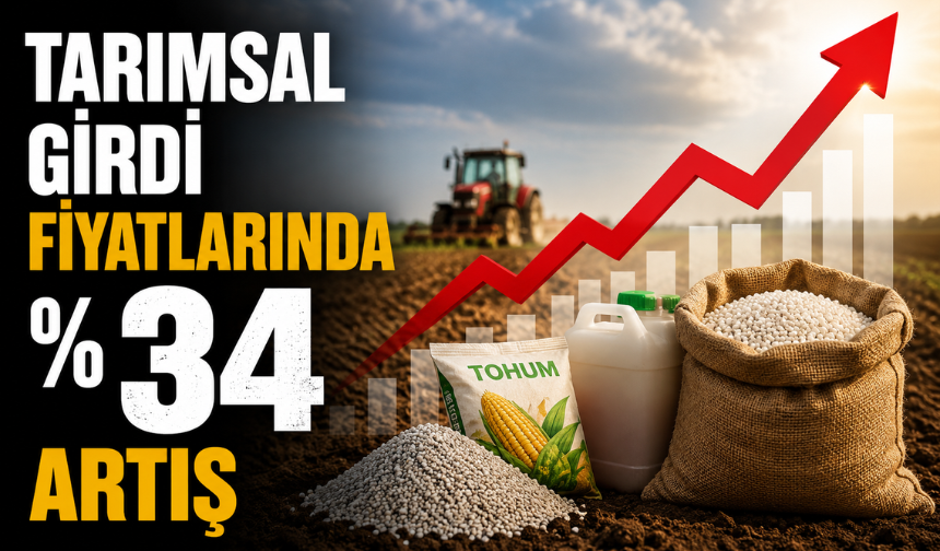 Tarımsal Girdi Fiyat Endeksi Martta Yükseldi