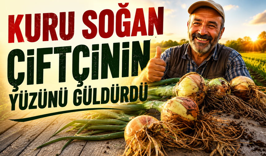 Soğanda Yüzler Gülüyor, İthalat Endişesi Büyüyor