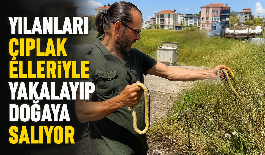 Yılanları çıplak elleriyle yakalayıp doğaya salıyor