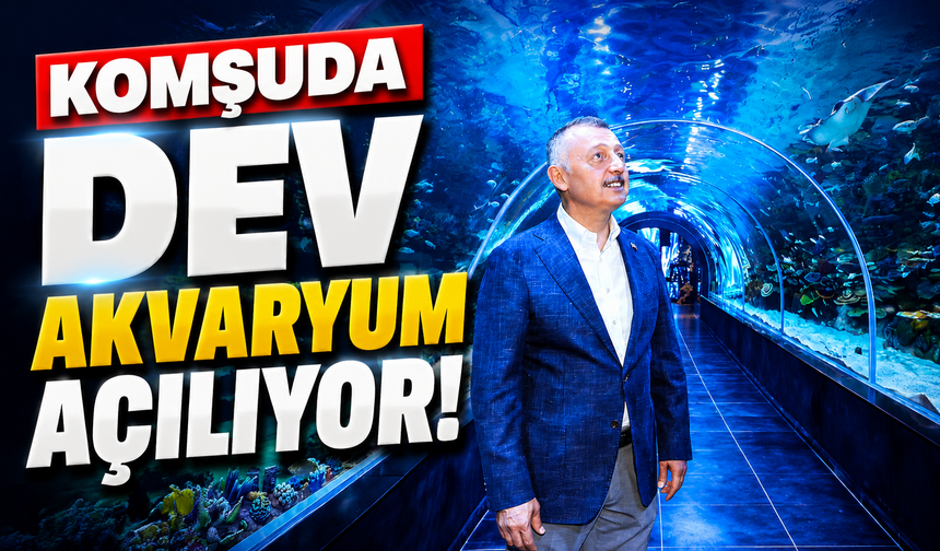 Komşuda dev akvaryum açılıyor!