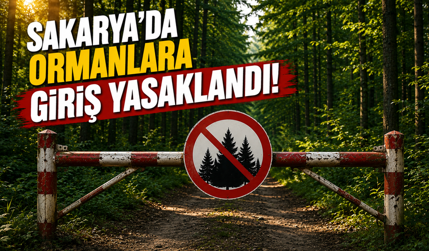 Sakarya'da Ormanlara Giriş Yasaklandı! Yeni Tedbirler 31 Ekim'e Kadar Sürecek