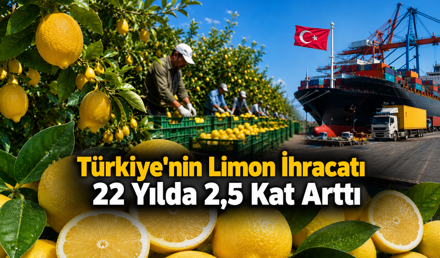 Türkiye'nin Limon İhracatı 22 Yılda 2,5 Kat Arttı
