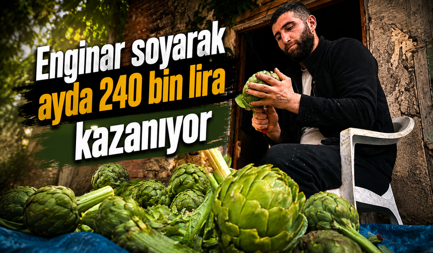 Enginar soyarak ayda 240 bin lira kazanıyor