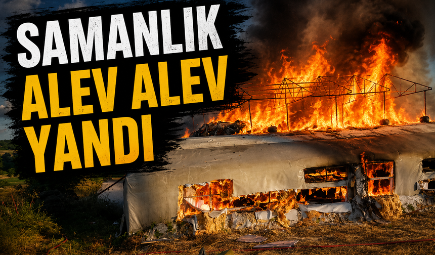 Kaynarca'da Küçükbaş Hayvan Çiftliğinde Yangın