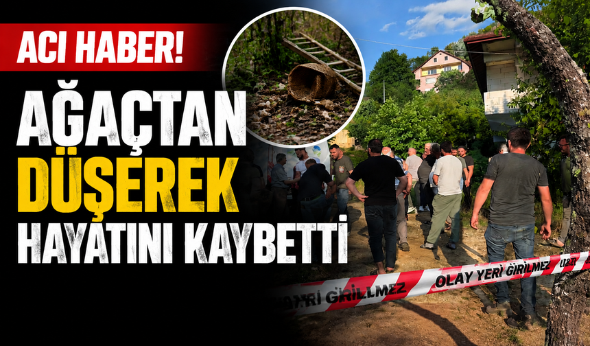 Akyazı’da Ihlamur Toplarken Hayatını Kaybetti